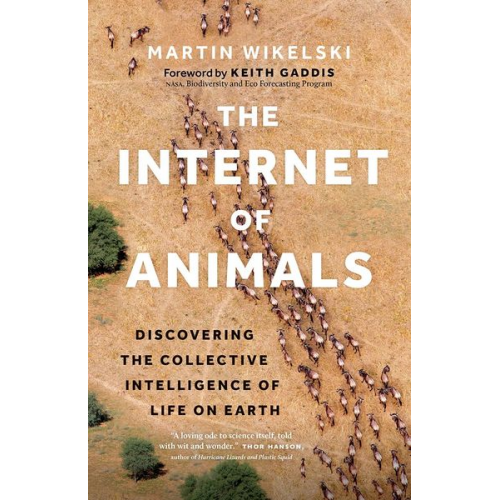 Martin Wikelski - The Internet of Animals