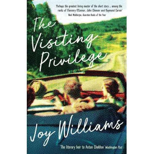 Joy Williams - The Visiting Privilege