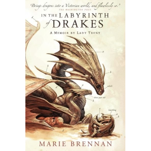 Marie Brennan - In the Labyrinth of Drakes