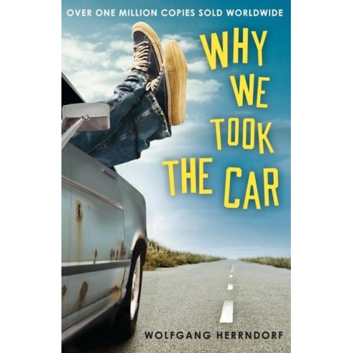 Wolfgang Herrndorf - Why We Took the Car