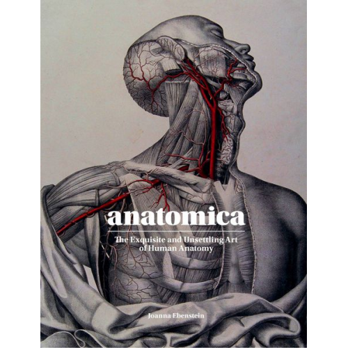 Johanna Ebenstein - Anatomica