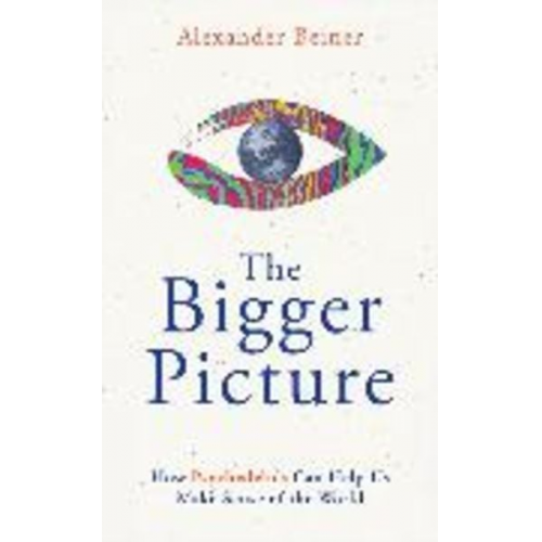 Alexander Beiner - The Bigger Picture