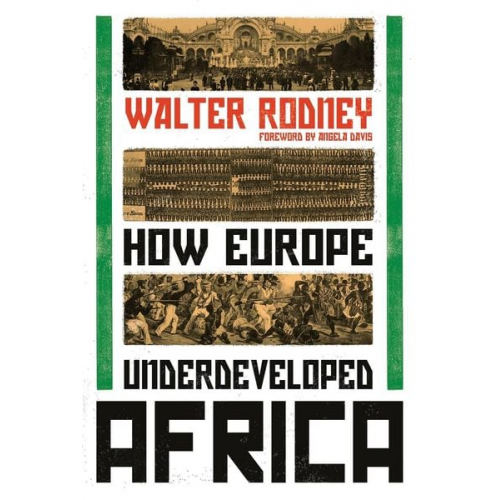 Walter Rodney - How Europe Underdeveloped Africa