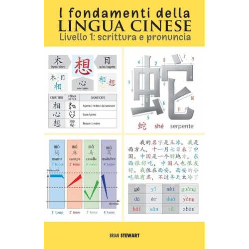 Brian Stewart - I fondamenti della lingua cinese