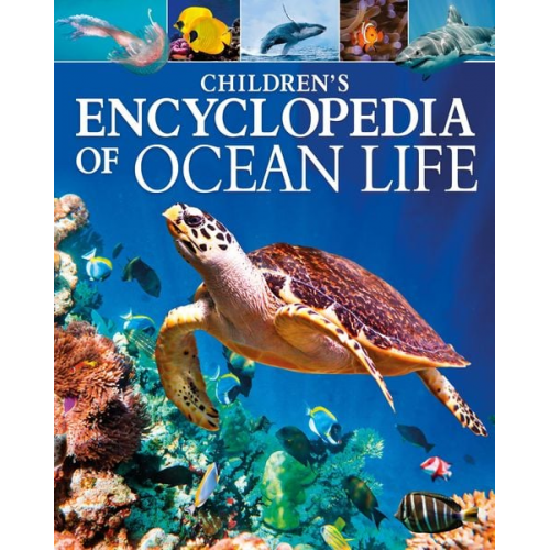 Claudia Martin - Children's Encyclopedia of Ocean Life