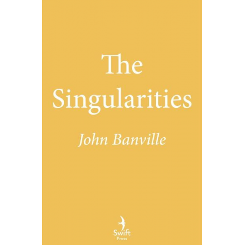 John Banville - The Singularities