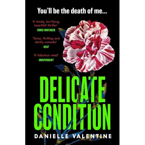 Danielle Valentine - Delicate Condition