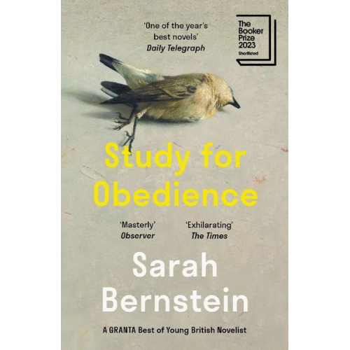 Sarah Bernstein - Study for Obedience