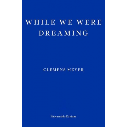 Clemens Meyer - While We Were Dreaming