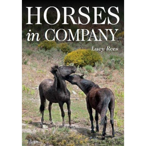 Lucy Rees - Horses in Company