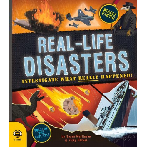 Susan Martineau - Real-life Disasters