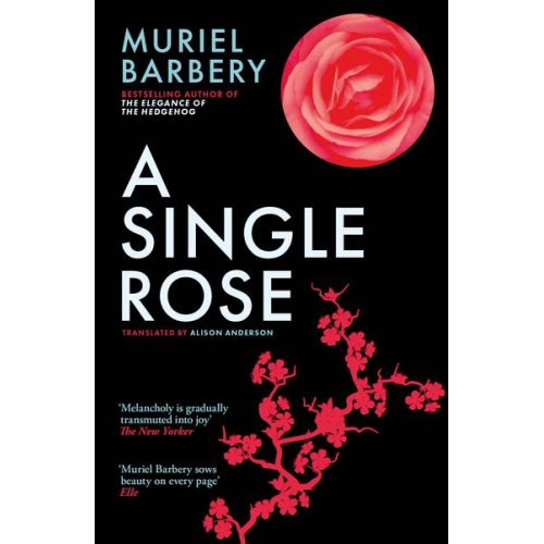 Muriel Barbery - A Single Rose