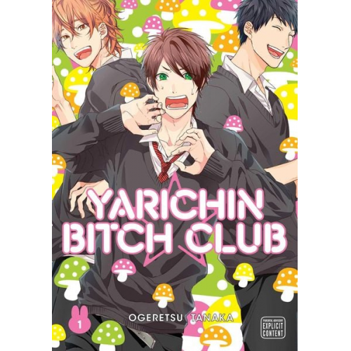 Ogeretsu Tanaka - Yarichin Bitch Club, Vol. 1