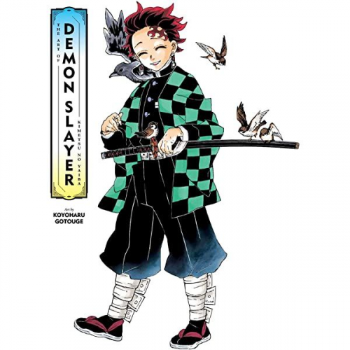 Natsuki Hokami - Demon Slayer: Kimetsu Academy, Vol. 1