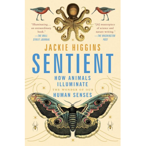 Jackie Higgins - Sentient: How Animals Illuminate the Wonder of Our Human Senses