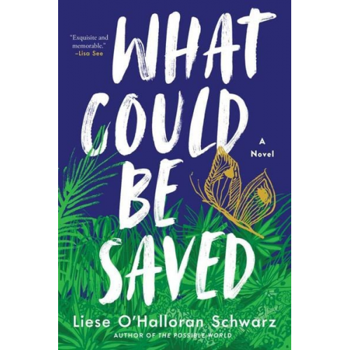 Liese O'Halloran Schwarz - What Could Be Saved