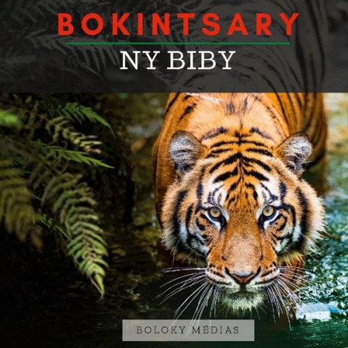 Boloky Médias - Bokintsary - Ny biby