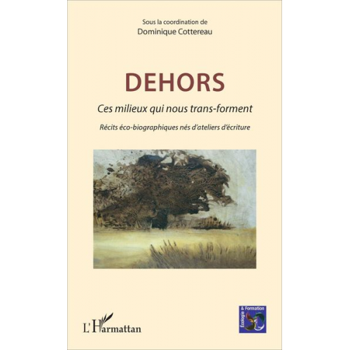 Dominique Cottereau - Dehors