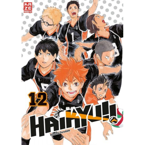 Haruichi Furudate - Haikyu!! 12