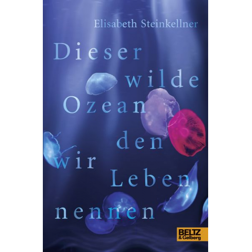 Elisabeth Steinkellner - Dieser wilde Ozean, den wir Leben nennen