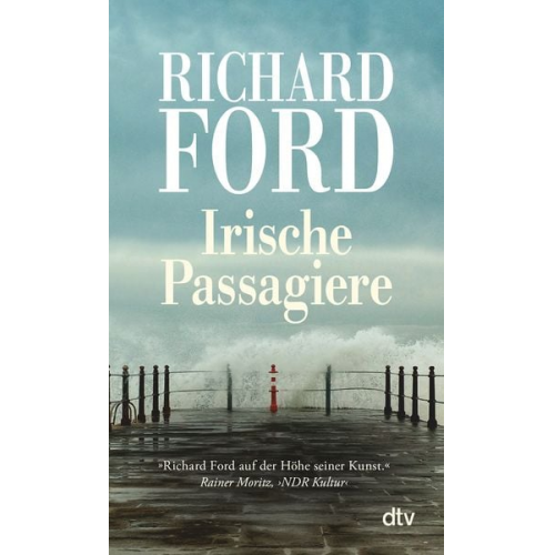 Richard Ford - Irische Passagiere