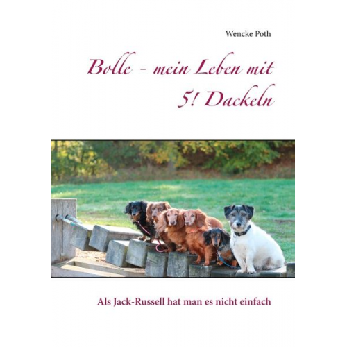 Wencke Poth - Bolle - mein Leben mit 5! Dackeln