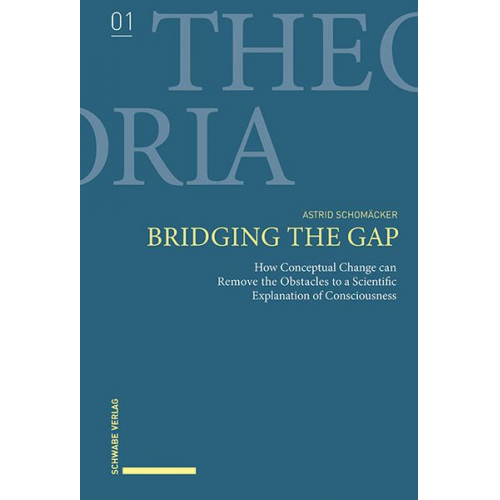 Astrid Schomäcker - Bridging the Gap