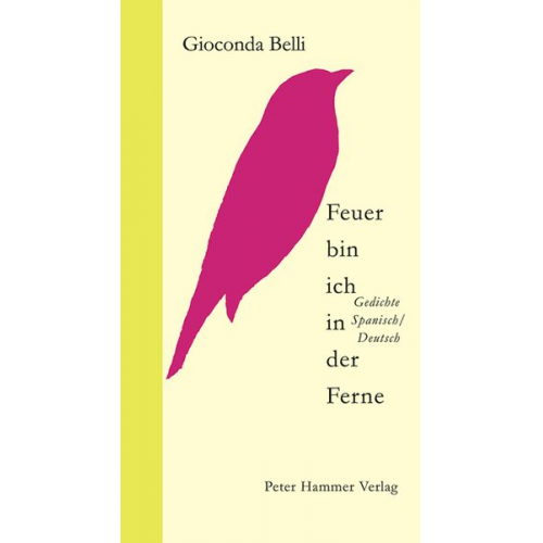 Gioconda Belli - Feuer bin ich in der Ferne