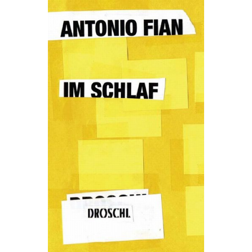 Antonio Fian - Im Schlaf