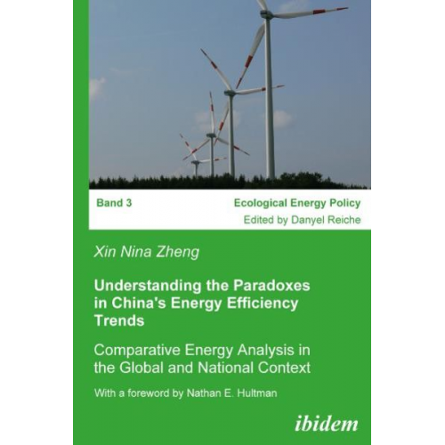 Xin Nina Zheng - Understanding the Paradoxes in China's Energy Efficiency Trends