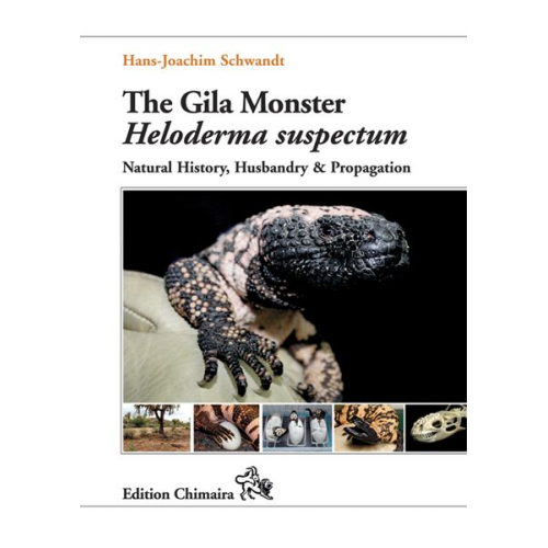 Hans-Joachim Schwandt - The Gila Monster Heloderma suspectum