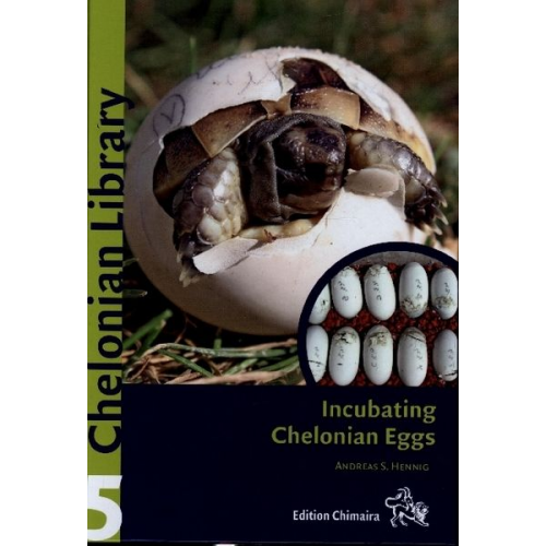 Andreas S. Hennig - Incubating Chelonian Eggs