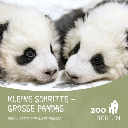 Zoo Berlin - Kleine Schritte - Große Pandas