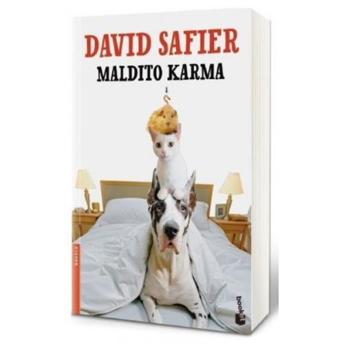 David Safier - Maldito karma