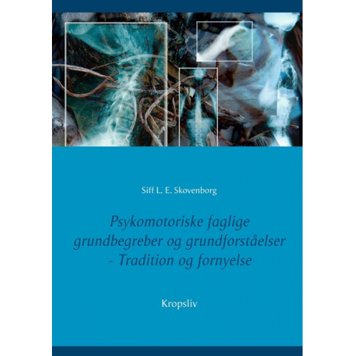 Siff L. E. Skovenborg - Psykomotoriske faglige grundbegreber og grundforståelser