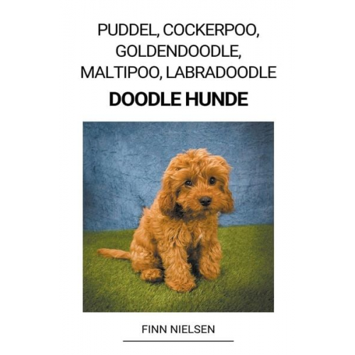 Finn Nielsen - Puddel, Cockerpoo, Goldendoodle, Maltipoo, Labradoodle (Doodle Hunde)