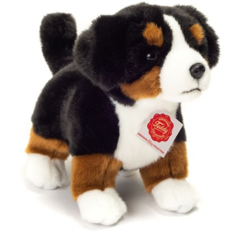 Teddy-Hermann - Berner Sennenhund Welpe stehend 23 cm