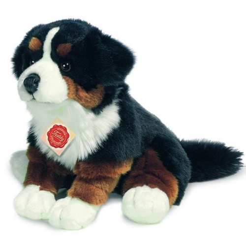 Berner Sennenhund, sitzend, 29 cm