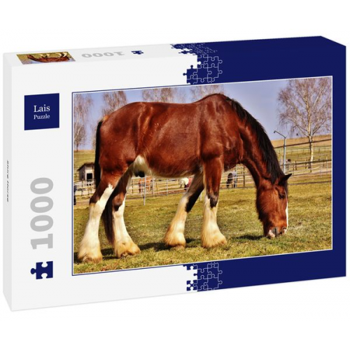 Lais Puzzle Shire Horse 1000 Teile