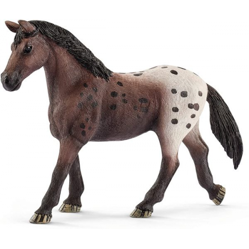 Schleich 13861 - Horse Club, Appaloosa Stute