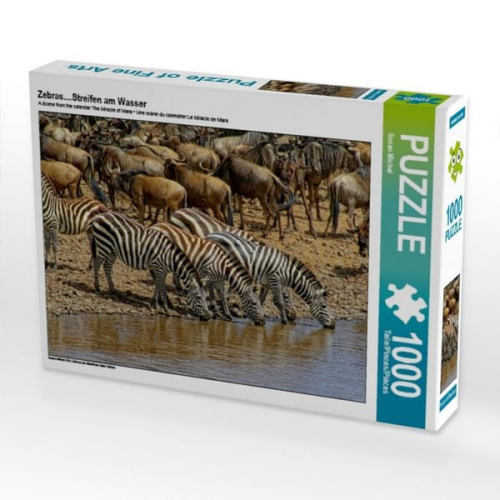 Zebras....Streifen am Wasser (Puzzle)