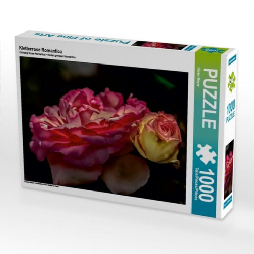 Kletterrose Romantica (Puzzle)