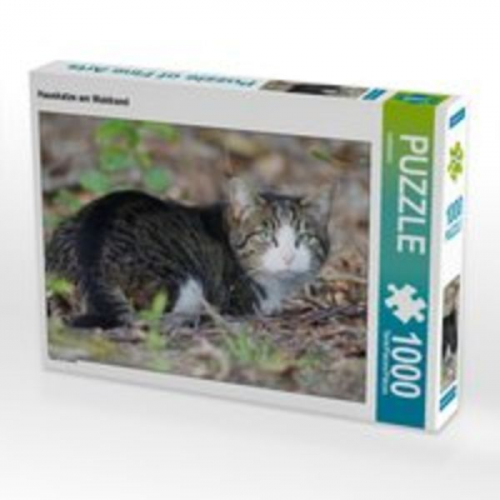 CALVENDO Puzzle Hauskatze am Waldrand 1000 Teile Lege-Größe 64 x 48 cm Foto-Puzzle Bild von kattobello