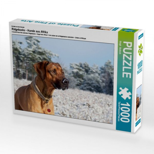 Ein Motiv aus dem Kalender Ridgebacks - Hunde aus Afrika (Puzzle)