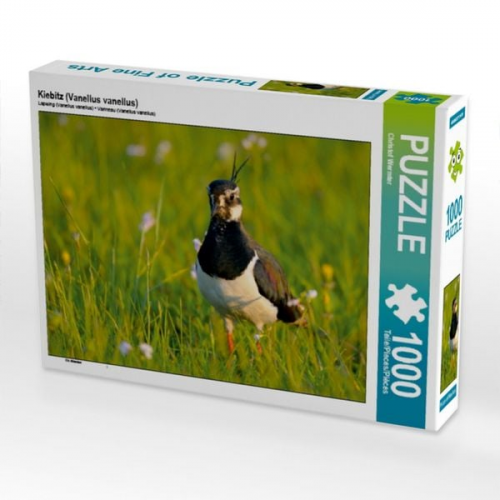 Kiebitz (Vanellus vanellus) (Puzzle)