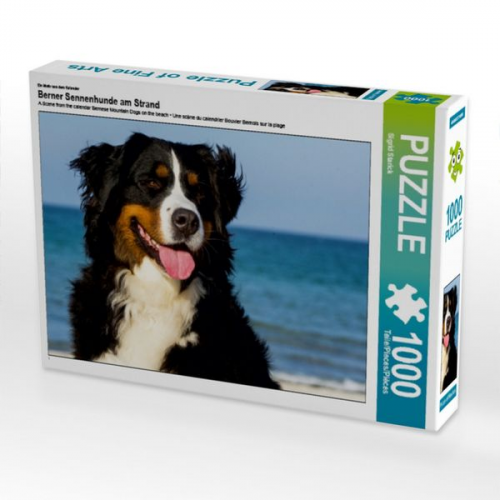 Ein Motiv aus dem Kalender Berner Sennenhunde am Strand (Puzzle)