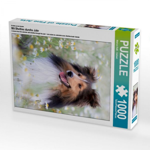 Ein Motiv aus dem Kalender Mit Shelties durchs Jahr (Puzzle)