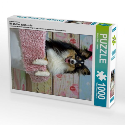 Ein Motiv aus dem Kalender Mit Shelties durchs Jahr (Puzzle)