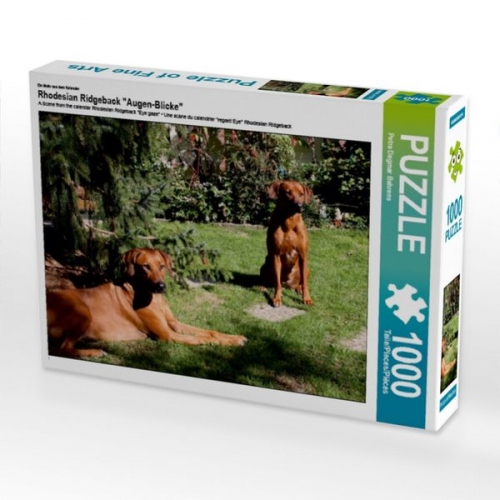 Rhodesian Ridgeback Hündinnen, 1000 Teile