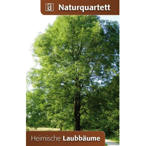 Heimische Laubbäume